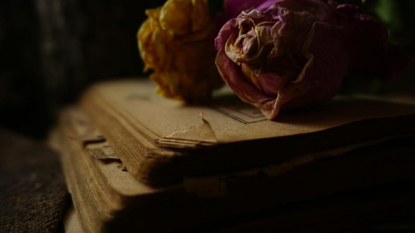 Moody still life of yellowed pages with dried flowers, perfect for vintage themes.
