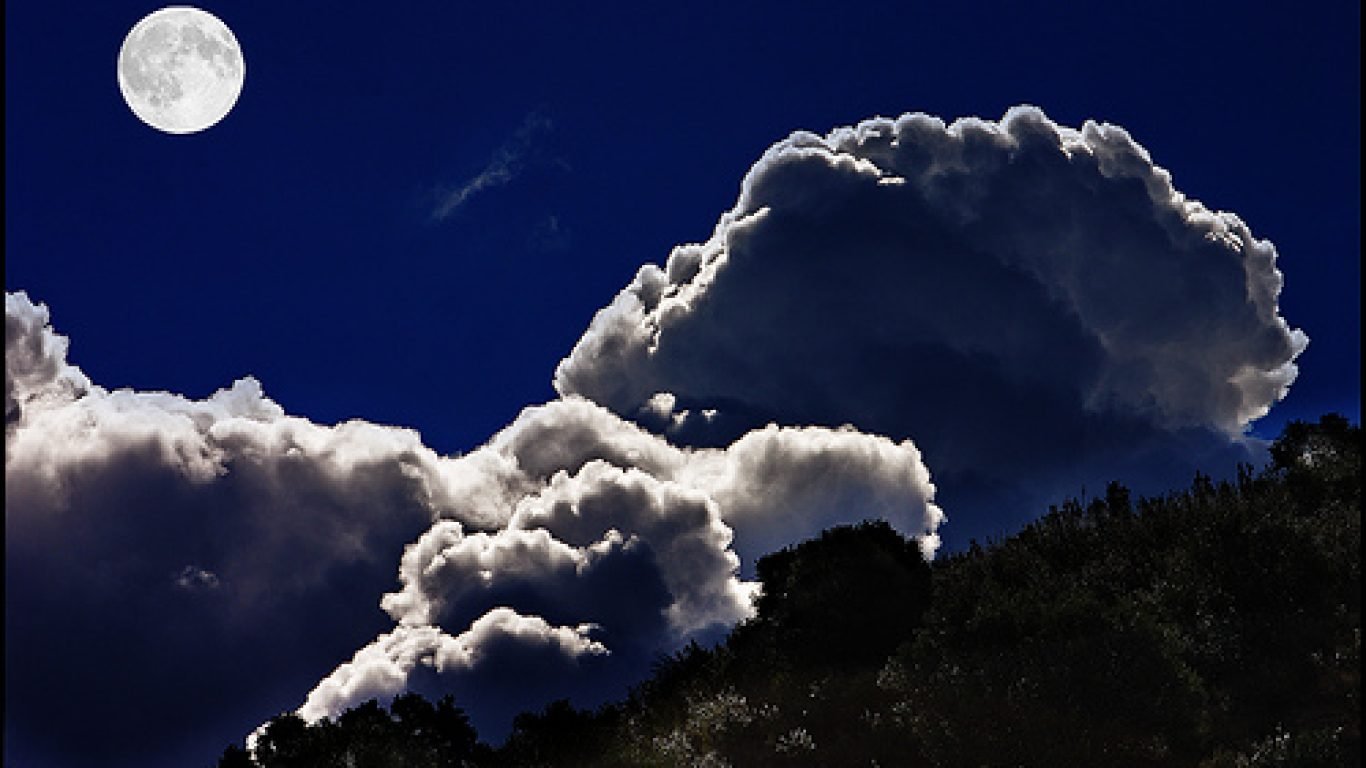 Dancing_In_The_Moonlight[1]