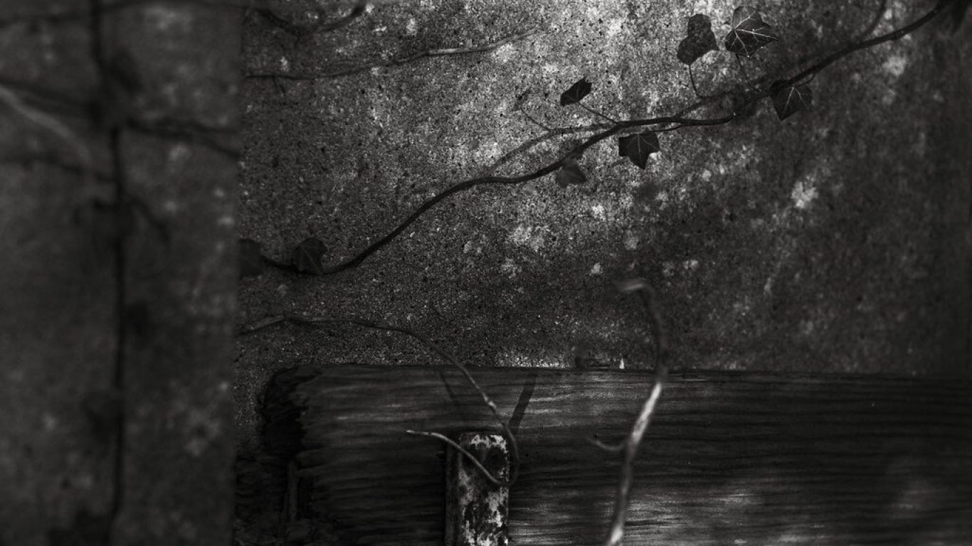 Amnesia